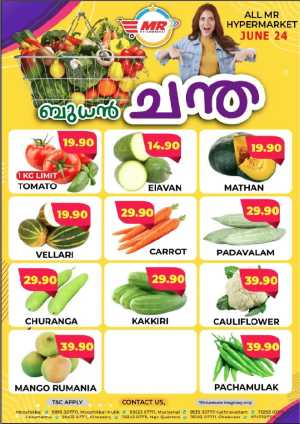 Wednesday offer flyer cover